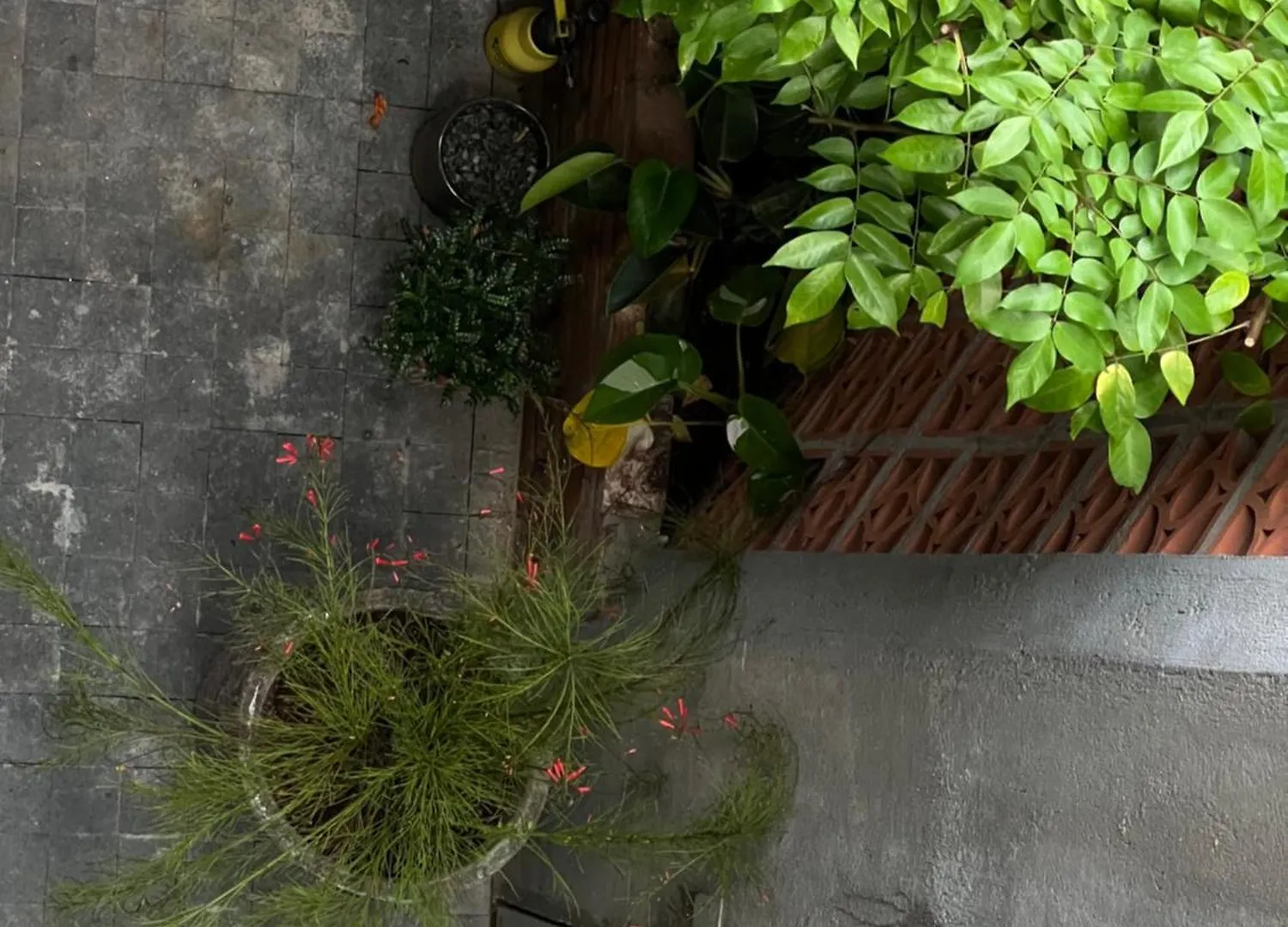Maison d'hôtes Preeze Boutique Stay Vung Tau Vietnam